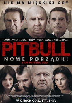 pitbull